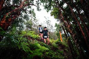 BIB: 
                            <button type="button" onclick="openModal(26201843)" class="btn btn-primary btn-sm float-right btn-popup" data-toggle="modal" data-target=".modal-high-quality">
                        <i class="fas fa-shopping-cart"></i> Add to Cart
                    </button>
                                            <button type="button" onclick="isThisMe(26201843, true)" class="btn btn-success btn-sm float-right btn-popup btn-isme hidden" data-toggle="tooltip" data-placement="bottom" title="นี่คือรูปของคุณใช่ไหม คลิกที่นี่เพื่อเอาเข้าอัลบั้ม">
                        <i class="fas fa-plus"></i> Add to album
                    </button>
                    <button type="button" onclick="isThisMe(26201843, false)" class="btn btn-warning btn-sm float-right btn-popup btn-isnotme hidden">
                        <i class="fas fa-ban"></i> Remove from album
                    </button>